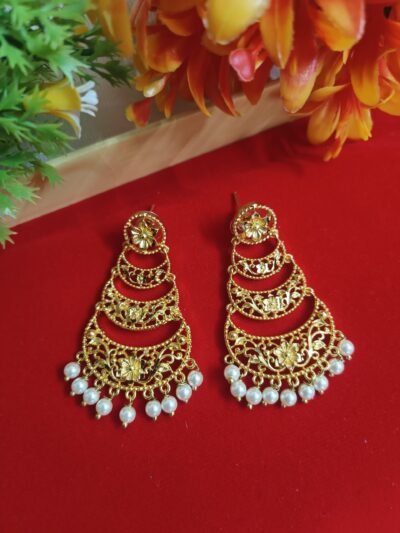 Elegance in Gold: Plated Earrings