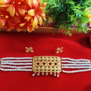 Unique & Gorgeous Choker