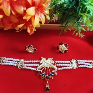 Unique & Gorgeous Choker