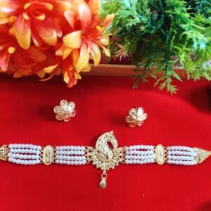 Unique & Gorgeous Choker